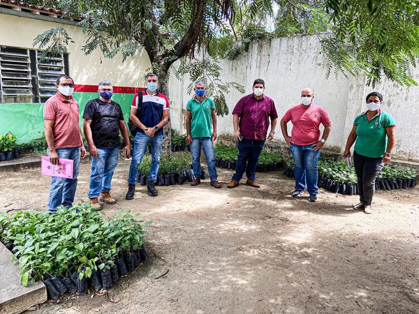 Secretaria de Agricultura realiza reunião para discutir melhor uso de mudas de plantas no município