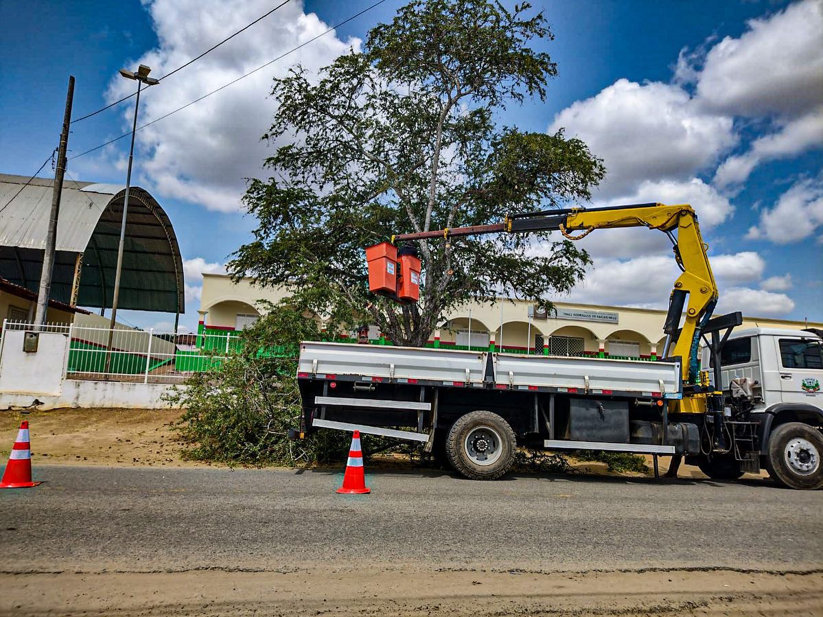 Prefeitura realiza processo de poda das árvores em vários pontos da cidade